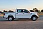 2025 Ford F-150 XL  TX