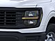 2025 Ford F-150 XL Oshkosh WI