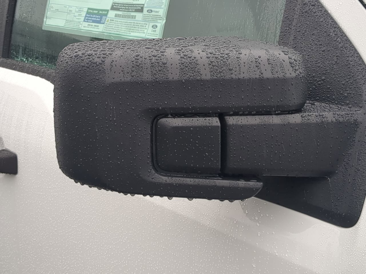 2025 Ford F-150 XL Winder GA