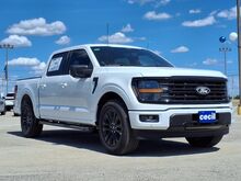 2025_Ford_F-150_XLT_  TX