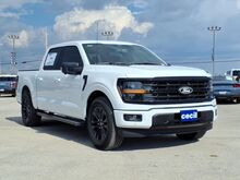 2025_Ford_F-150_XLT_  TX