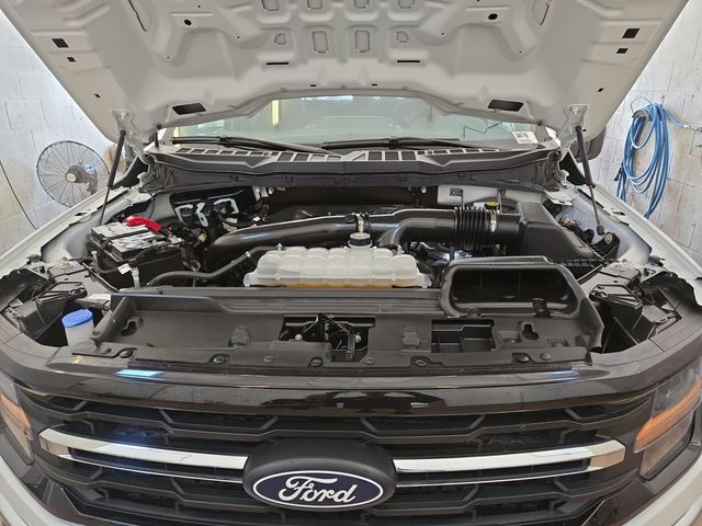 2025 Ford F-150 XLT Kerrville TX