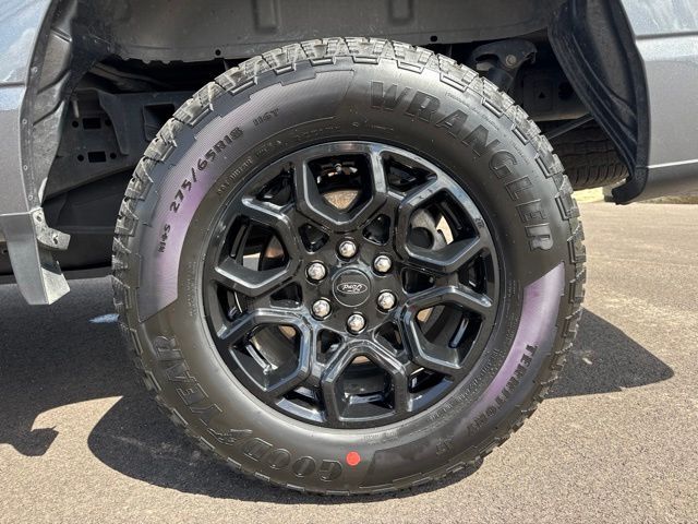 2025 Ford F-150 XLT Kerrville TX