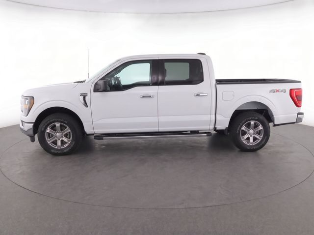 2025 Ford F-150 XLT Kerrville TX