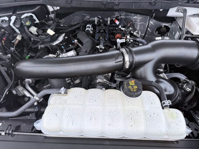 2025 Ford F-150 XLT Kerrville TX