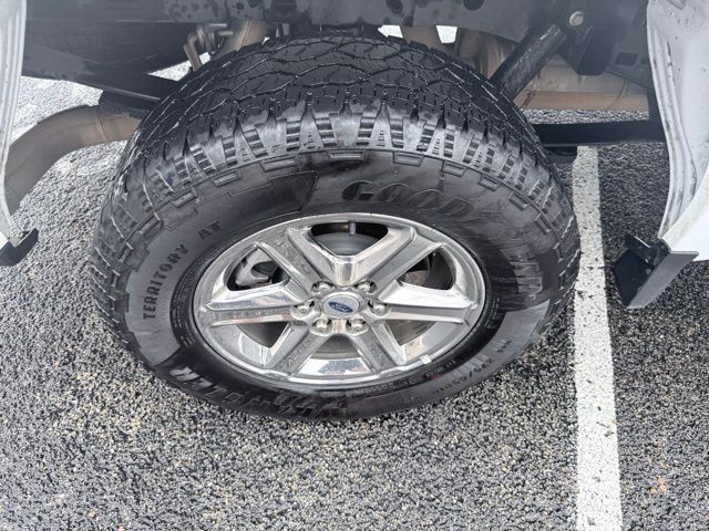 2025 Ford F-150 XLT Kerrville TX