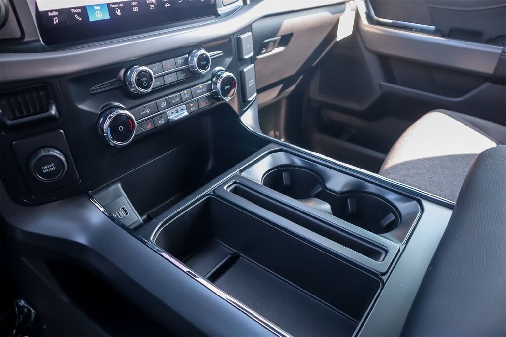 2025 Ford F-150 XLT Hondo TX