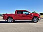 2025 Ford F-150 XLT  TX