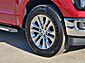 2025 Ford F-150 XLT  TX
