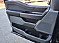 2025 Ford F-150 XLT  TX