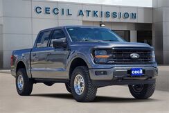2025_Ford_F-150_XLT_  TX