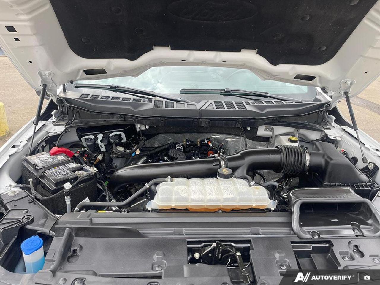 2025 Ford F-150 XLT Edmonton AB