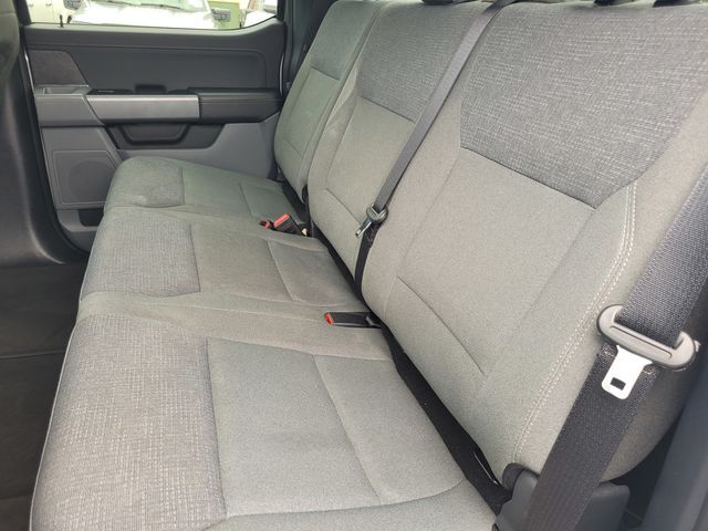 2025 Ford F-150 XLT Folsom CA