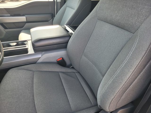 2025 Ford F-150 XLT Folsom CA