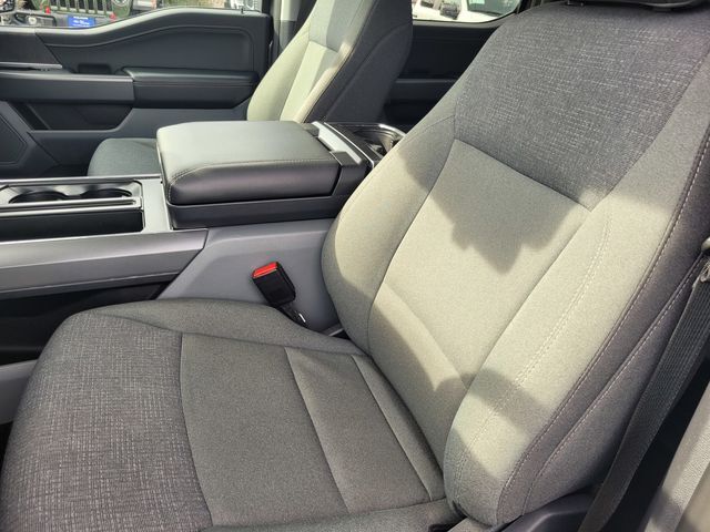 2025 Ford F-150 XLT Folsom CA