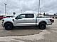 2025 Ford F-150 XLT Milwaukee WI