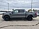 2025 Ford F-150 XLT Milwaukee WI