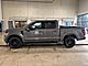 2025 Ford F-150 XLT Milwaukee WI
