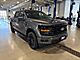 2025 Ford F-150 XLT Milwaukee WI