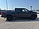 2025 Ford F-150 XLT Milwaukee WI