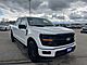 2025 Ford F-150 XLT Milwaukee WI