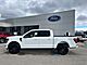2025 Ford F-150 XLT Milwaukee WI