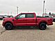 2025 Ford F-150 XLT Milwaukee WI