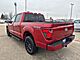 2025 Ford F-150 XLT Milwaukee WI