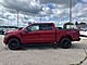 2025 Ford F-150 XLT Milwaukee WI