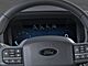 2025 Ford F-150 XLT Oshkosh WI
