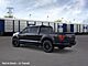 2025 Ford F-150 XLT Oshkosh WI