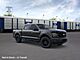 2025 Ford F-150 XLT Oshkosh WI