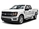 2025 Ford F-150 XLT Oshkosh WI