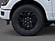 2025 Ford F-150 XLT Oshkosh WI