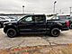 2025 Ford F-150 XLT Oshkosh WI 2025 Ford F-150 XLT Oshkosh WI