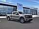 2025 Ford F-150 XLT Oshkosh WI 2025 Ford F-150 XLT Oshkosh WI