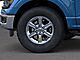 2025 Ford F-150 XLT Oshkosh WI