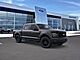 2025 Ford F-150 XLT Oshkosh WI