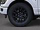 2025 Ford F-150 XLT Oshkosh WI
