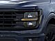2025 Ford F-150 XLT Oshkosh WI