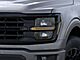 2025 Ford F-150 XLT Oshkosh WI
