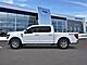 2025 Ford F-150 XLT Oshkosh WI 2025 Ford F-150 XLT Oshkosh WI