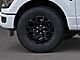 2025 Ford F-150 XLT Oshkosh WI 2025 Ford F-150 XLT Oshkosh WI