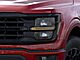 2025 Ford F-150 XLT Oshkosh WI