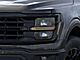 2025 Ford F-150 XLT Oshkosh WI 2025 Ford F-150 XLT Oshkosh WI