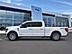 2025 Ford F-150 XLT Oshkosh WI 2025 Ford F-150 XLT Oshkosh WI