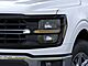 2025 Ford F-150 XLT Oshkosh WI