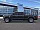 2025 Ford F-150 XLT Oshkosh WI