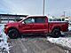 2025 Ford F-150 XLT Oshkosh WI
