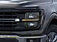 2025 Ford F-150 XLT Oshkosh WI
